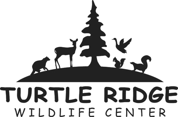 Turtle Ridge Wildlife Center